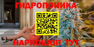 молекула духа Аша
