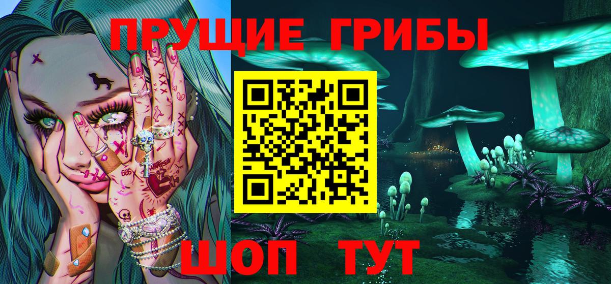 Великий Новгород  Псилоцибиновые грибы мухоморы  Вход с VPN 